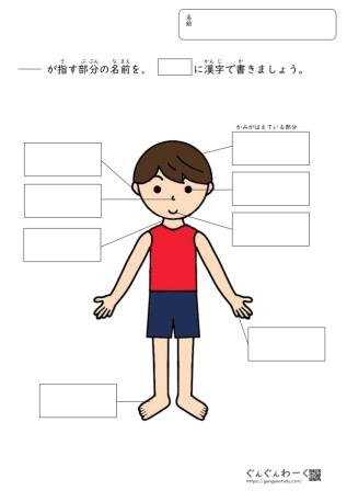 顔・からだの部位 | ぐんぐんわーく